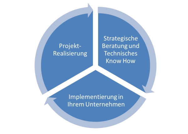 download projektmanagement leitfaden zur steuerung und führung von projekten 2004